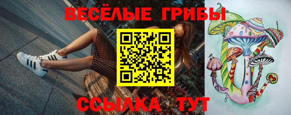 Михайловск  Галлюциногенные грибы Magic Shrooms  Вход с VPN 